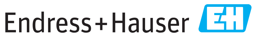 Endress+Hauser